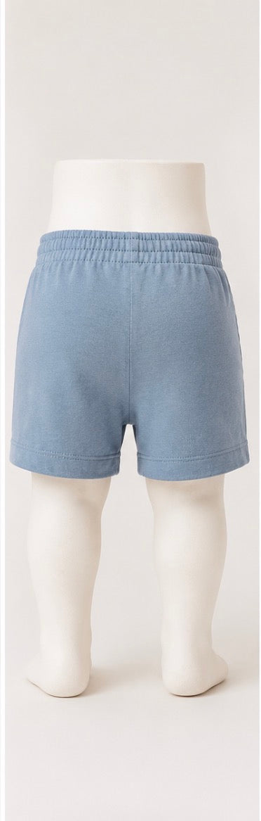 Nike Baby Boys Light Blue Pull-On Shorts Size 12 Months NWT